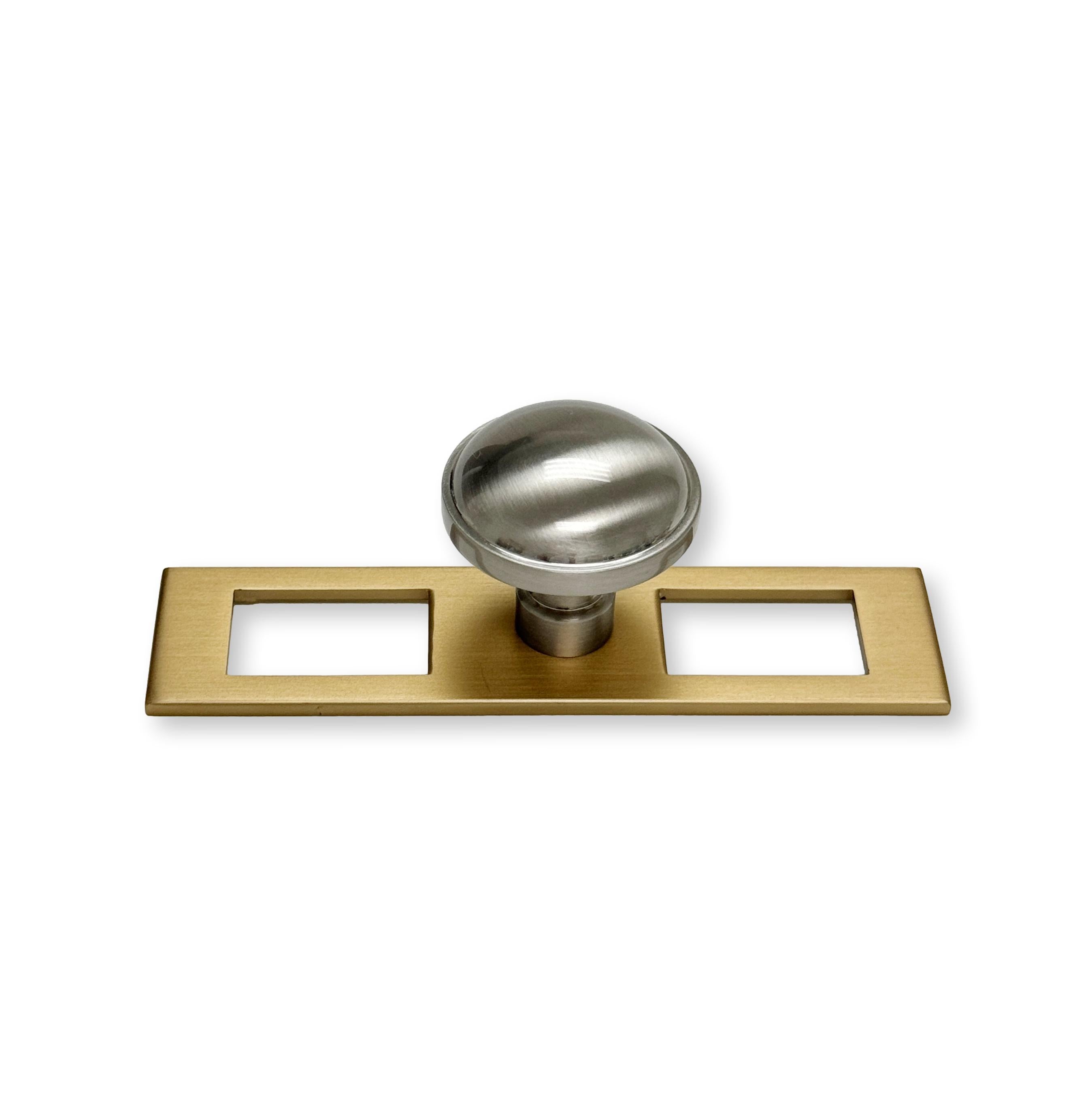 Champagne Bronze and Satin Nickel Industrial Modern Pulls and Knob with Backplate - Industry Hardware